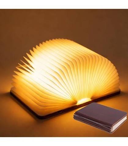 Book Desk Lamp 