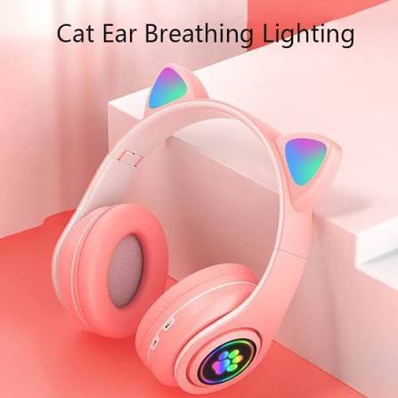 Cat Headphones RGB Light New Stock TypeC Charging.
