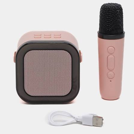 K12 Single MIC Speaker.